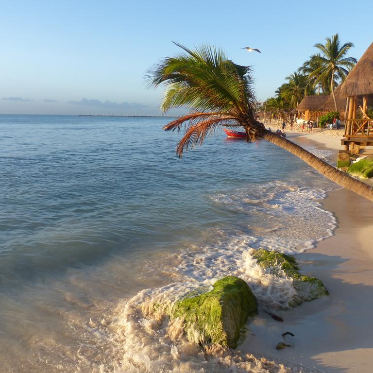 Lilas Del Mar Apartments Playa del Carmen Ngoại thất bức ảnh